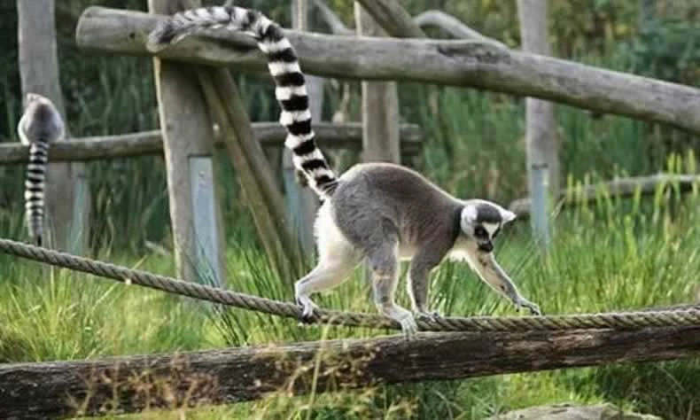 Quand partir pour Madagascar ?